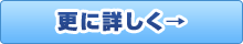 更に詳しく